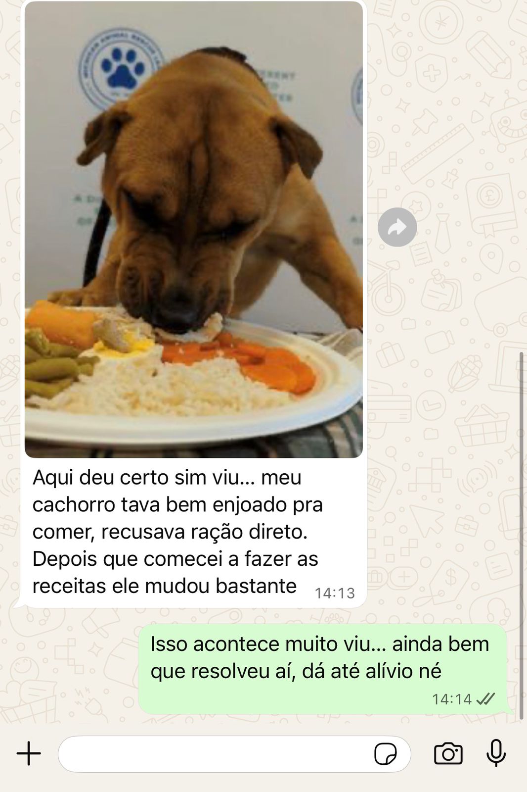 Depoimento 1