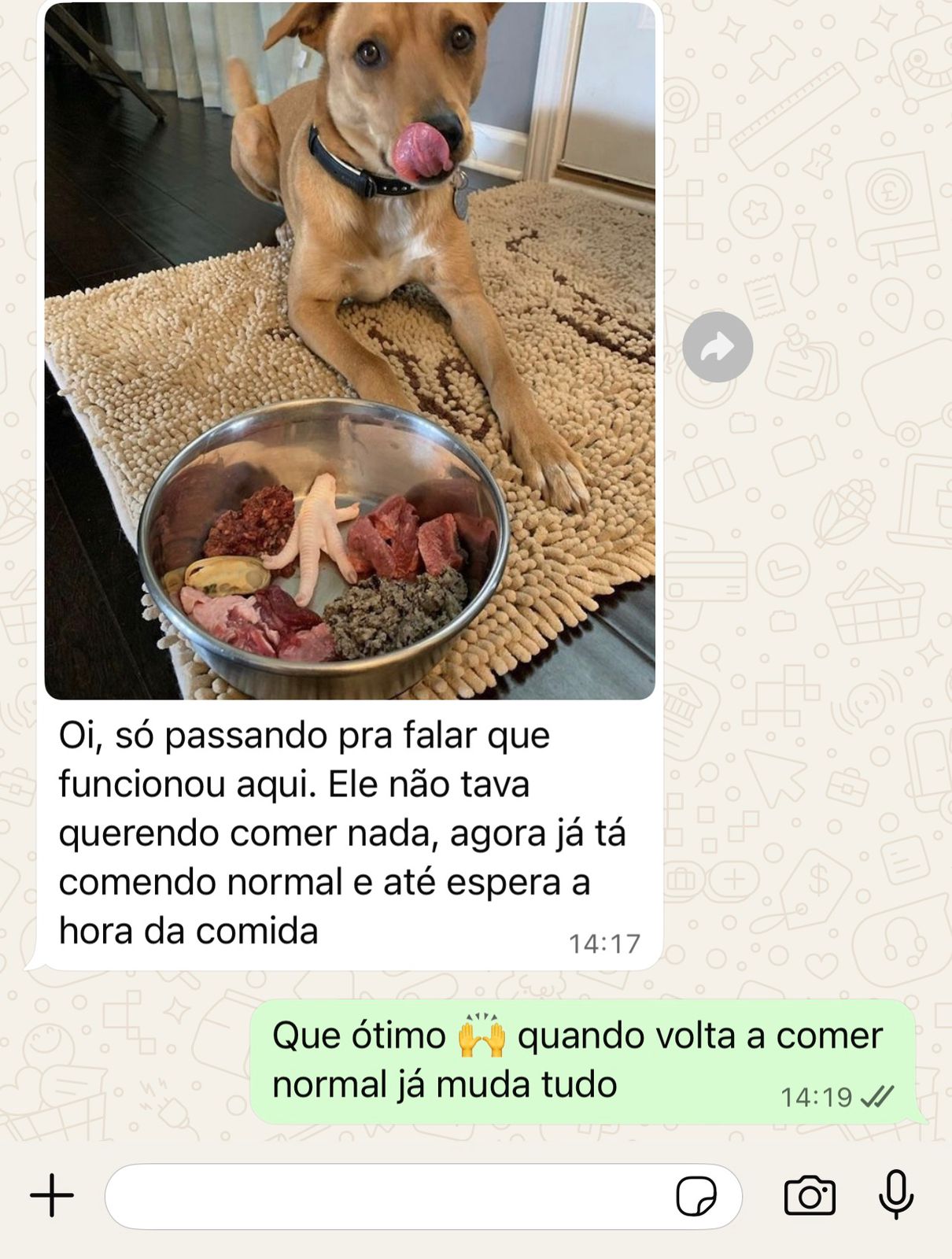 Depoimento 5