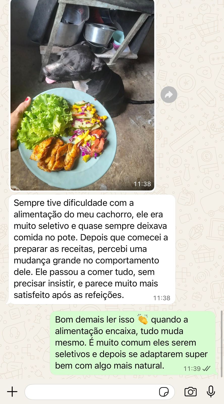 Depoimento 6
