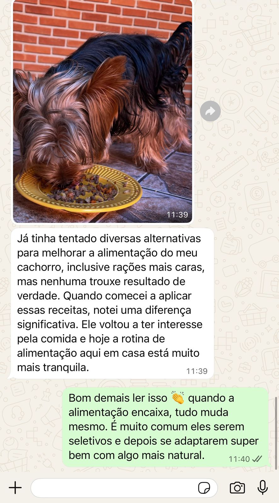 Depoimento 8